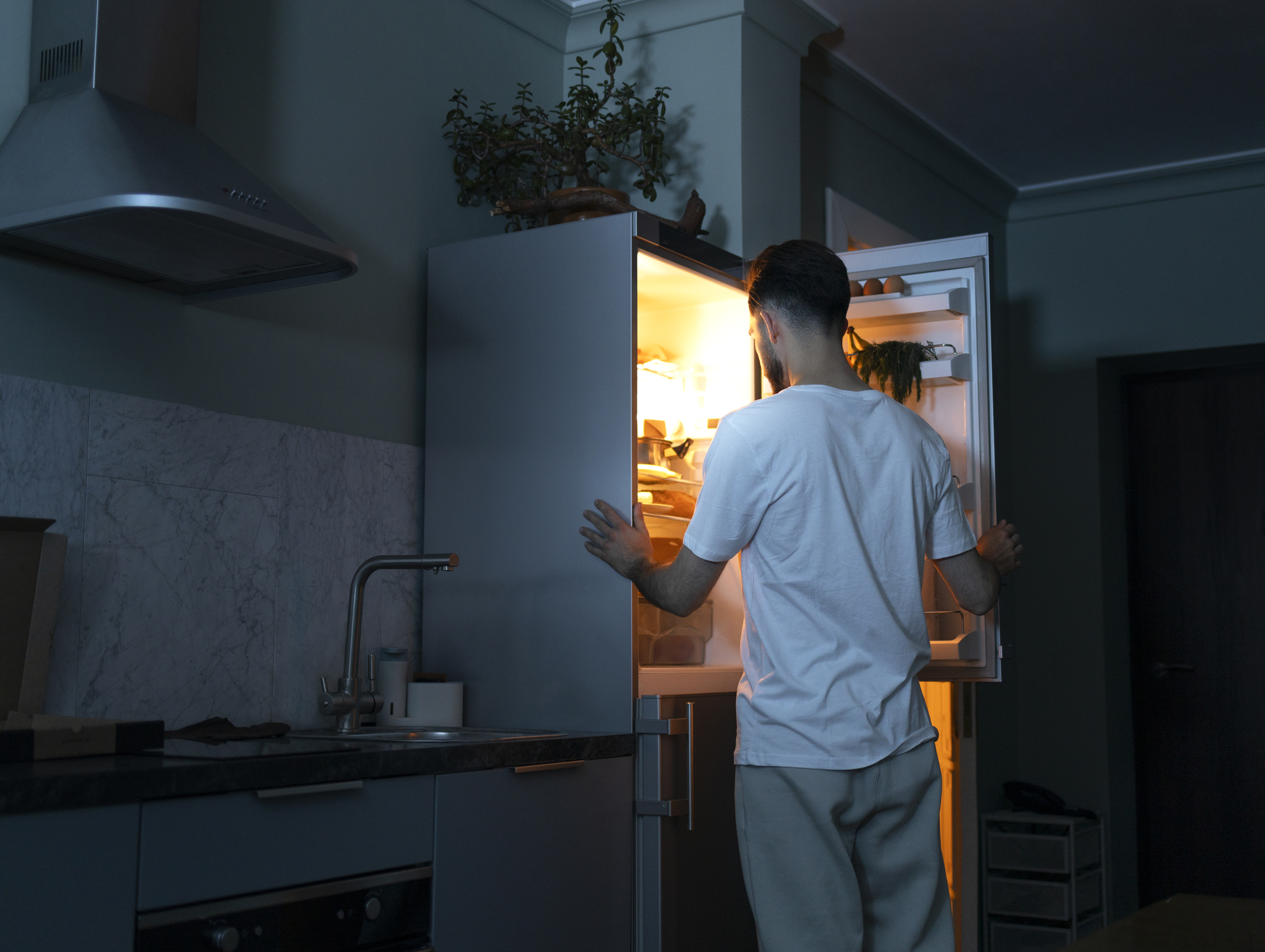 AidHive Refrigerator Repair in Patna